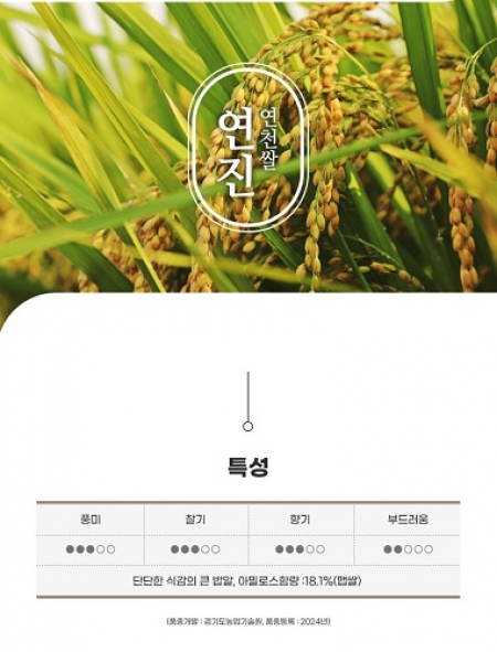 연천좋은쌀 연구소  연진쌀 300G*4피세트 #4