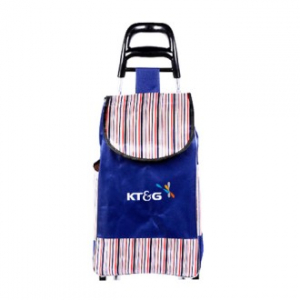 줄무늬 쇼핑카트 바퀴달린 장바구니 H293