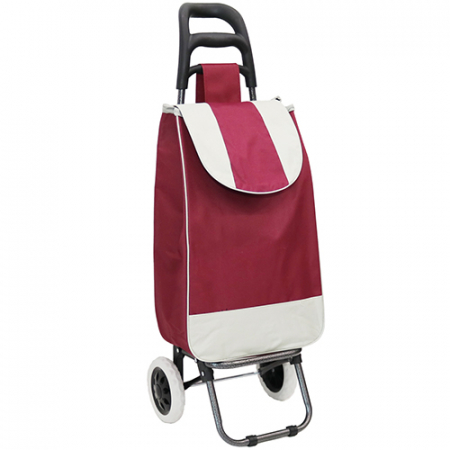 심플쇼핑카트 핸드캐리어 시장가방 #4