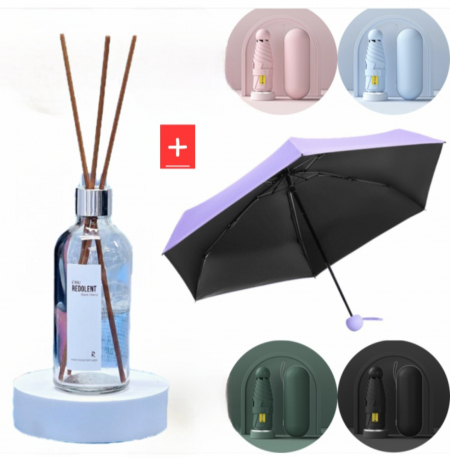 디퓨저 방향제 100ml+ 캡슐 양우산 우양산 선물세트 #2