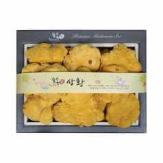 [26년 풍성한명절][영진표고] 명품 상황버섯 선물세트(면세)