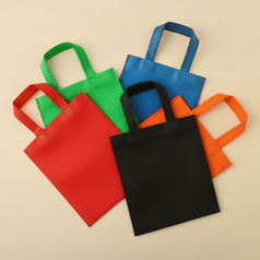 이스트렉스 소형 부직포가방 24x27cm