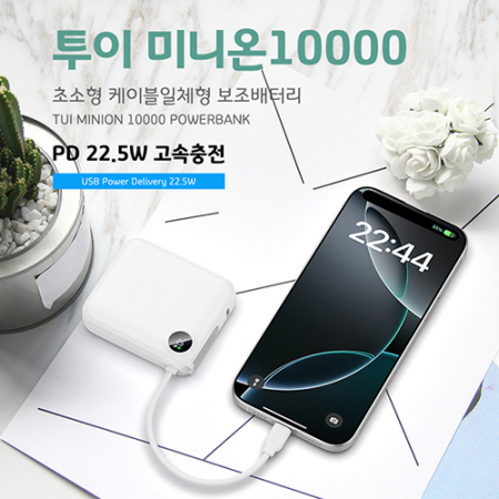 [TUI] 투이 미니온 10000 고속충전 보조배터리 PD22.5W #2