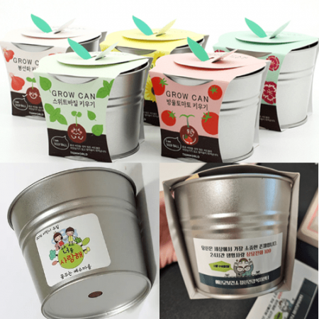 국산 식물키우기 화분기트 캔화분 유치원만들기키트 식목일 선물 #2