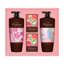 lg생활건강 프리미엄 샴푸 비누세트 ST