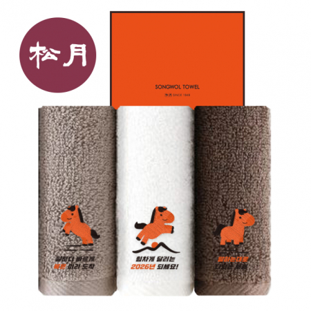 송월타올 2026 병오년 새해 붉은 말 1매입 세트 #2