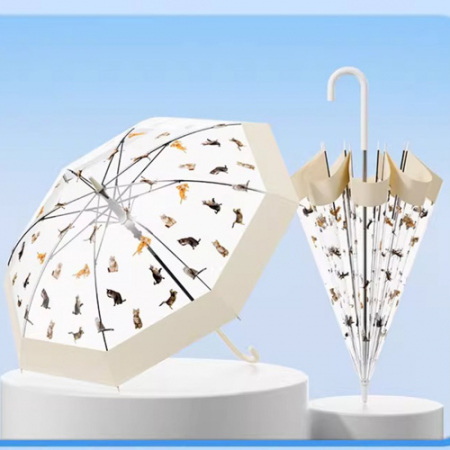 캣츠 투명 곡자 장우산 #3