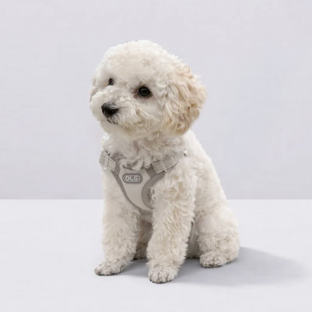 올지 세이프 하네스 초소형 강아지 슬개골 리프팅 관절보호 기도압박 없는 h형 y형 x형 산책용 소형견 중형견 애견 반려견 용 #2