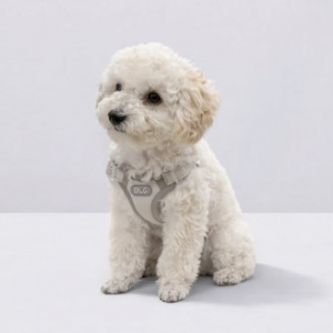 올지 세이프 하네스 초소형 강아지 슬개골 리프팅 관절보호 기도압박 없는 h형 y형 x형 산책용 소형견 중형견 애견 반려견 용