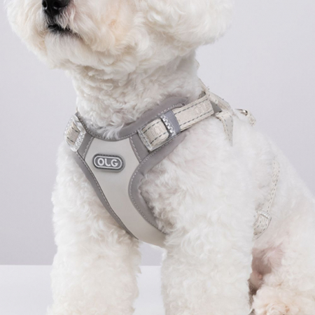 올지 세이프 하네스 중형 리드줄 세트 충격흡수 슬개골 관절보호 소형견 중형견 강아지 애견 반려견 용 #5