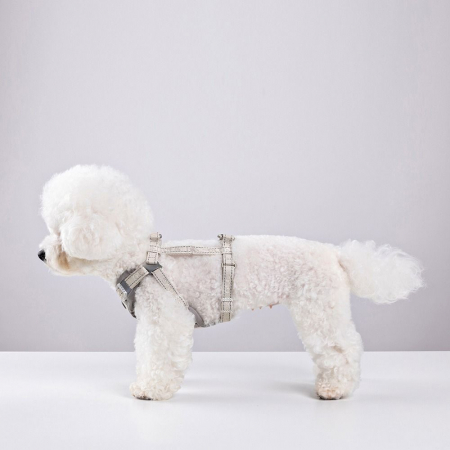 올지 세이프 하네스 중형 리드줄 세트 충격흡수 슬개골 관절보호 소형견 중형견 강아지 애견 반려견 용 #7