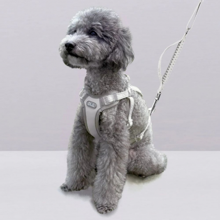 올지 세이프 하네스 중형 리드줄 세트 충격흡수 슬개골 관절보호 소형견 중형견 강아지 애견 반려견 용 #2