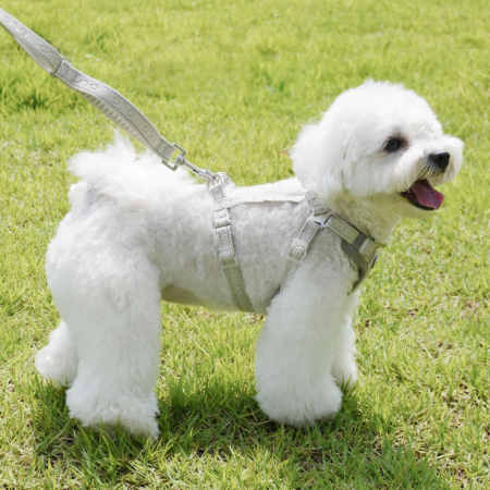 올지 세이프 하네스 소형 리드줄 세트 충격흡수 슬개골 관절보호 소형견 중형견 강아지 애견 반려견 용 #9