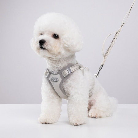 올지 세이프 하네스 소형 리드줄 세트 충격흡수 슬개골 관절보호 소형견 중형견 강아지 애견 반려견 용 #2