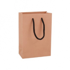 아베오 종이쇼핑백 주얼리시리즈 9호 핑크베이지 100x50x145