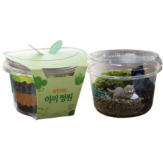 국산 미니화분 이끼키우기 식물키우기 미니정원 교구용품