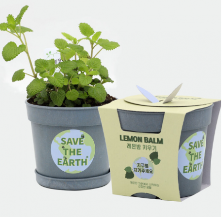 면역력에 좋은 레몬밤 키우기 세트 #3