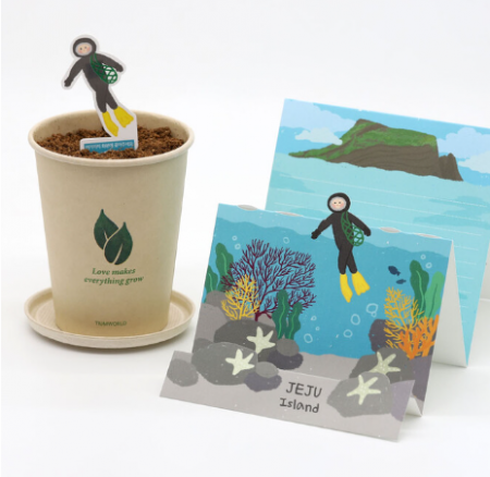 제주 해녀 씨앗 카드 씨앗 키트 자연학습 #2