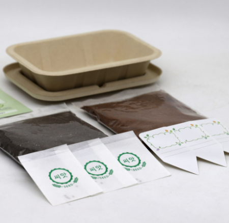 씨드볼 만들기 씨앗 키트 식물 키우기 새싹 자연학습 #4