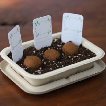 씨드볼 만들기 씨앗 키트 식물 키우기 새싹 자연학습 #2