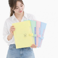 파일철 서류철 서류정리 보관 화일 도큐먼트 아코디언파일