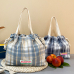 작은이미지: 피크닉 런치백 체크무늬 도시락가방 H197 #2