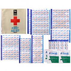 파스텔 밴드세트DD