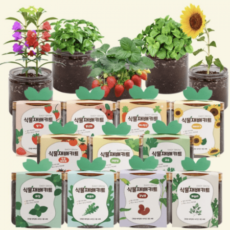 식물재배키트 미니화분 반려식물 식물재배11종 허브키우기 #2