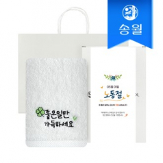 송월타올 노동절 근로자의 날 기념선물 좋은일클로버 2매 선물세트(쇼핑백) 기념수건 답례품