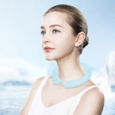 (Blossom) 아이스 넥쿨러 업그레이드 고급형 1P