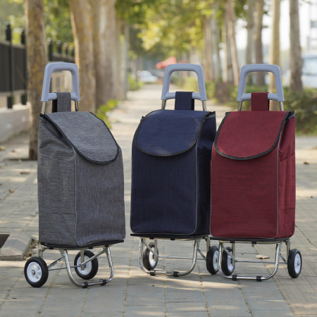 (Blossom) 라운드 분리형 접이식 장바구니 캐리어 1P #2