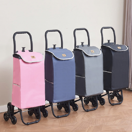 (Blossom) 대용량 보냉보온 접이식 장바구니 캐리어 1P #2