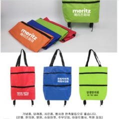 쇼핑카트 캐리어 장바구니 시장가방