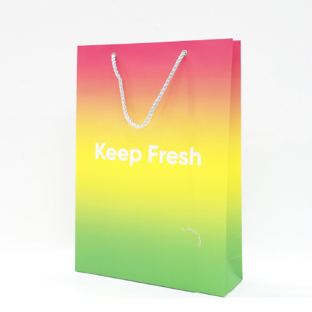 (Blossom) 컬러인쇄 종이 쇼핑백 세로형 (200×270×110/260x360x80/300x400x100/300x400x90mm) 1P #4