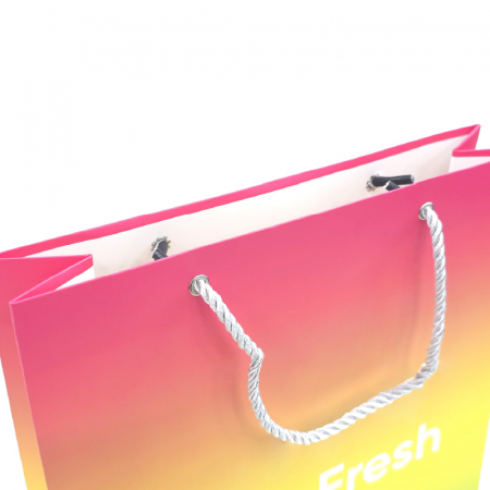 (Blossom) 컬러인쇄 종이 쇼핑백 세로형 (200×270×110/260x360x80/300x400x100/300x400x90mm) 1P #5