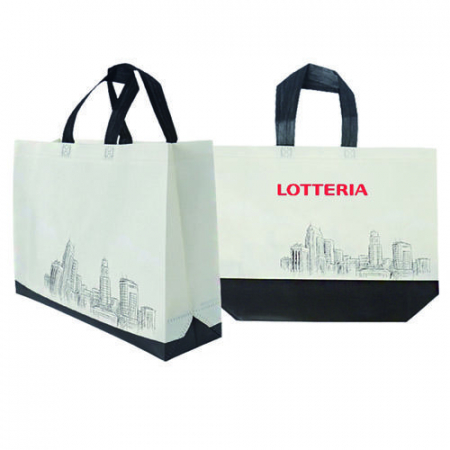 코팅 부직포가방 고주파가방(도시) 부직포백 다용도 보조가방 쇼핑백 장바구니 /인쇄 제작 가능/ #6