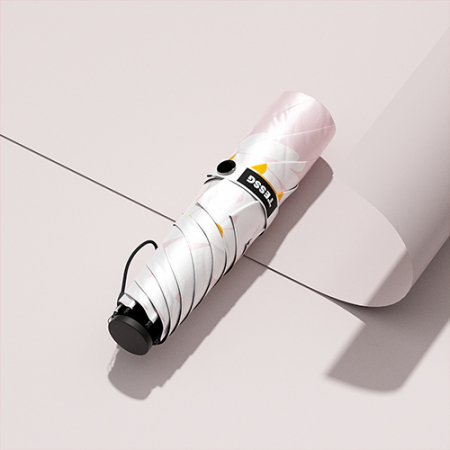 테스지 데이지 우양산 #3