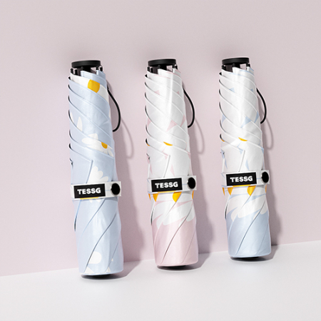 테스지 데이지 우양산 #2