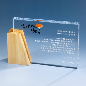 가로형 우드크리스탈 상패 K2026) 111-2