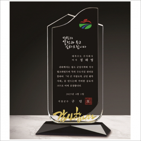 투톤 블랙 크리스탈 상패 #2