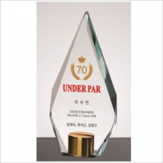 뿔 크리스탈 상패3