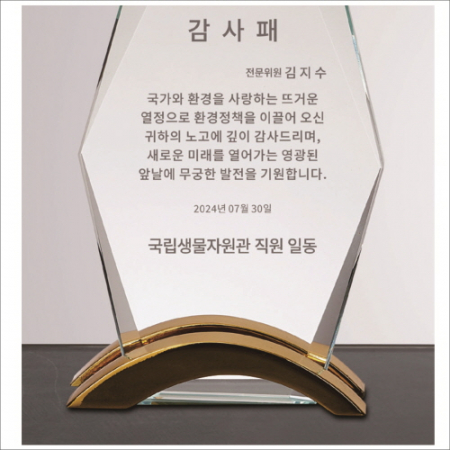 뿔 크리스탈 상패1 #4