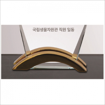 뿔 크리스탈 상패1 #5