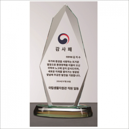 뿔 크리스탈 상패1 #6