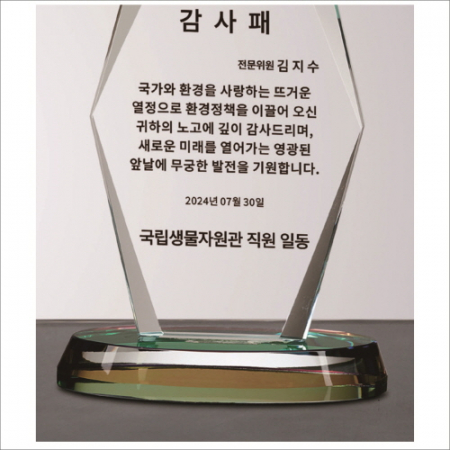 뿔 크리스탈 상패1 #8