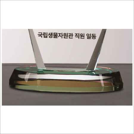 뿔 크리스탈 상패1 #9