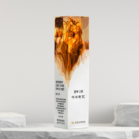 재직퇴직 임명 공로 위촉 수지 감사패 ART370 #3