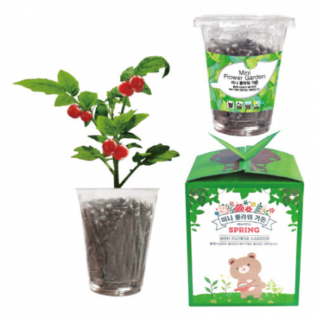미니 플라워 가든(토마토) #2