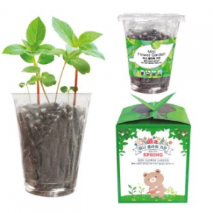 미니 플라워 가든(씨앗 화분)