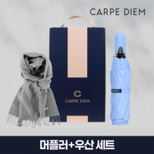 카르페디엠 3HH3S008 머플러 우산 세트